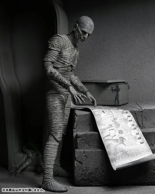 Universal Monsters / The Mummy: Imhotep 7 Inch Action Figure Black & White verㅤ – NECA – ActionFigureBrasil