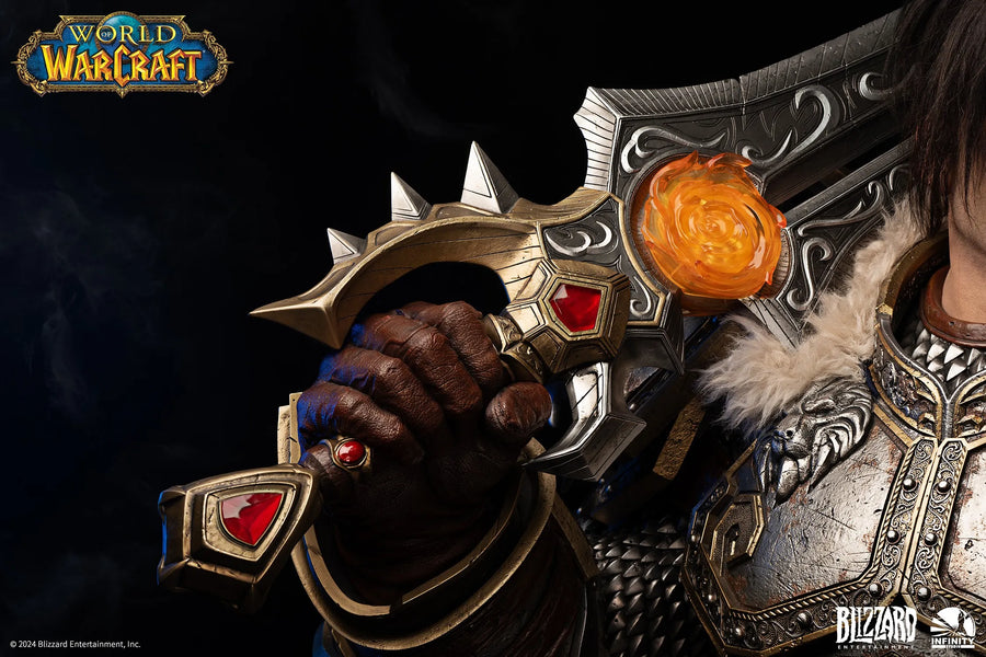 Varian Wrynn - LIMITED EDITION: 398 – Infinity Studio – ActionFigure Brasil