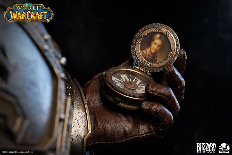 Varian Wrynn - LIMITED EDITION: 398 – Infinity Studio – ActionFigure Brasil