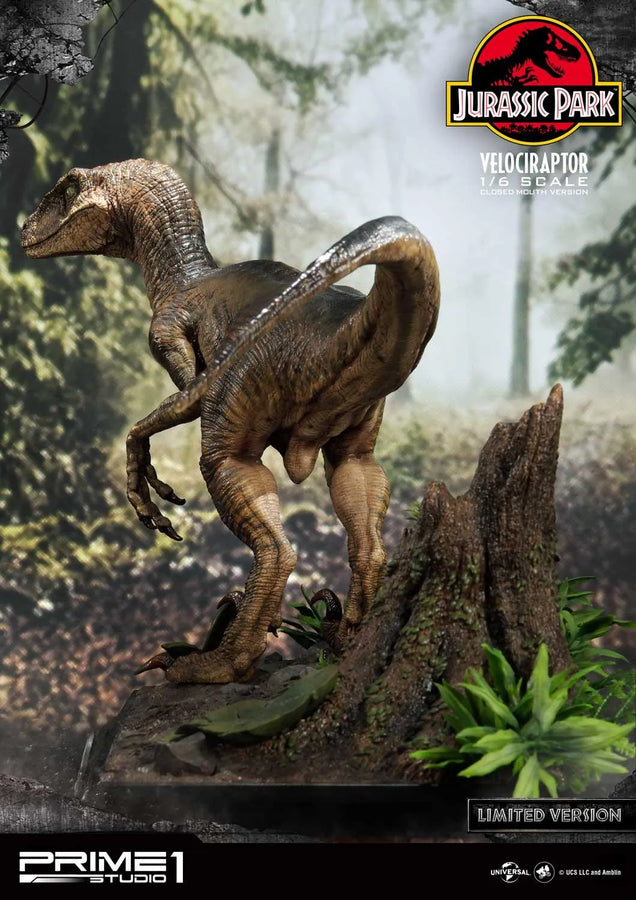 Velociraptor (Close Mouth Edition) Jurassic Park (Film) – Prime1Studio – ActionFigure Brasil