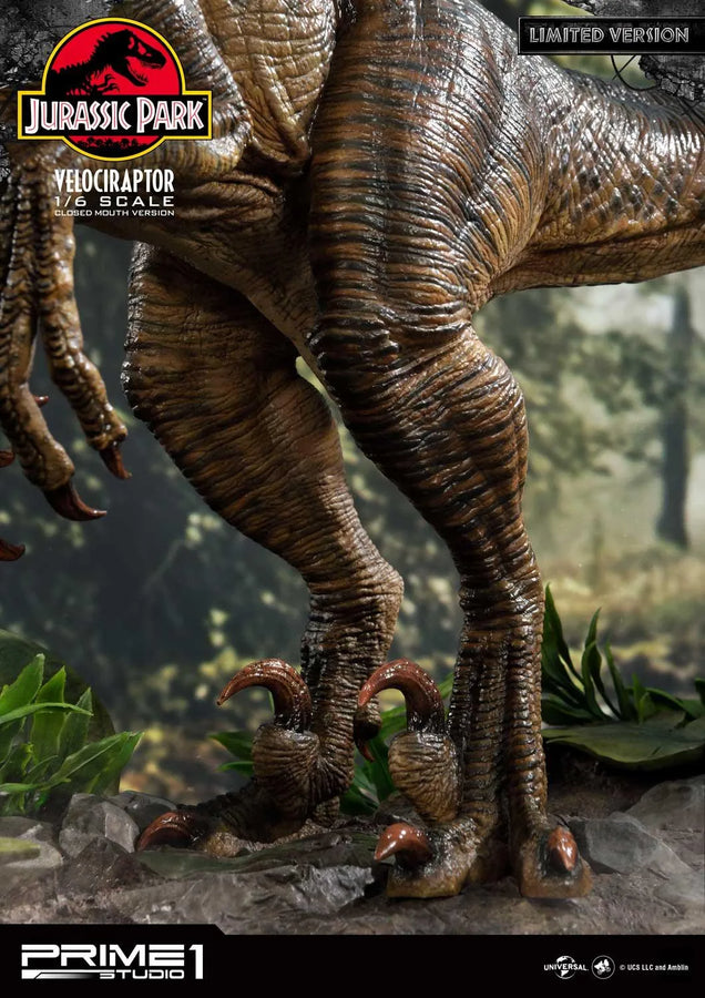 Velociraptor (Close Mouth Edition) Jurassic Park (Film) – Prime1Studio – ActionFigure Brasil