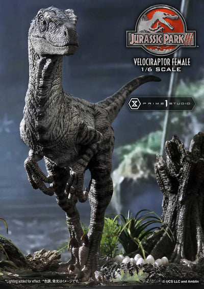 Velociraptor Female (Bonus Version) Jurassic Park III (Film) – Prime1Studio – ActionFigure Brasil