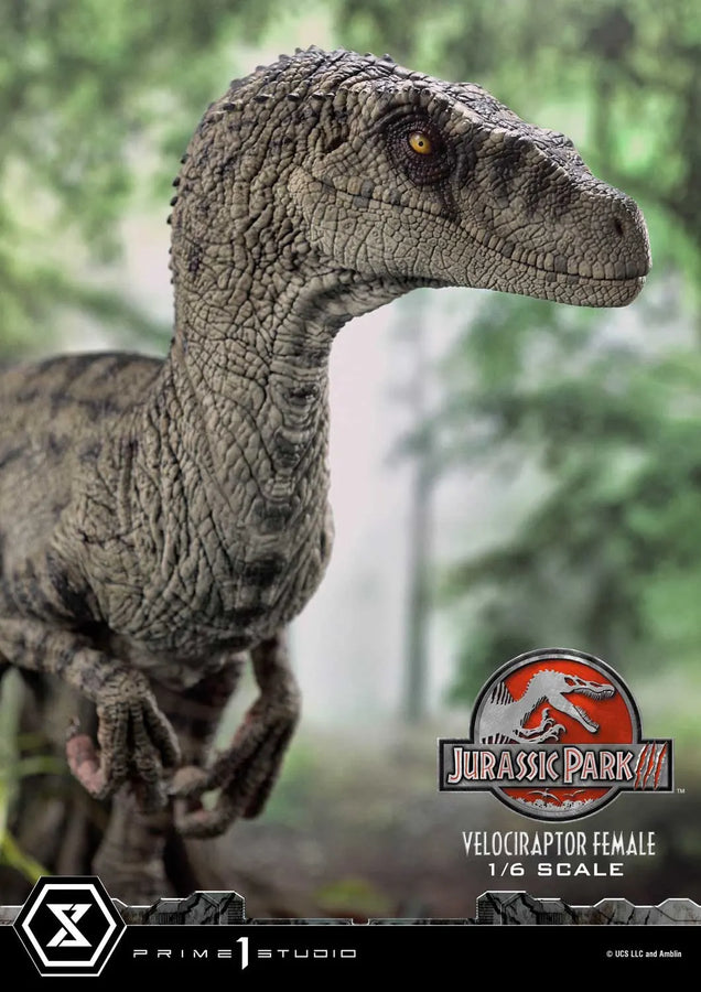 Velociraptor Female (Bonus Version) Jurassic Park III (Film) – Prime1Studio – ActionFigure Brasil