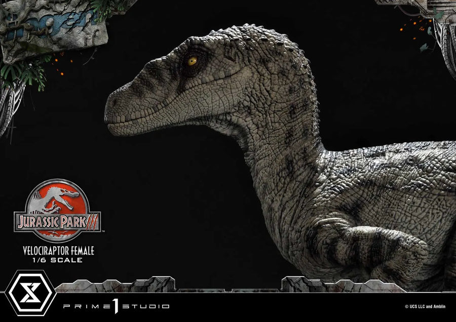 Velociraptor Female (Bonus Version) Jurassic Park III (Film) – Prime1Studio – ActionFigure Brasil