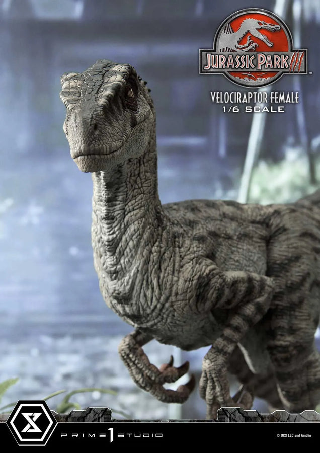 Velociraptor Female (Bonus Version) Jurassic Park III (Film) – Prime1Studio – ActionFigure Brasil