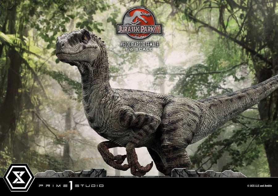Velociraptor Female (Bonus Version) Jurassic Park III (Film) – Prime1Studio – ActionFigure Brasil