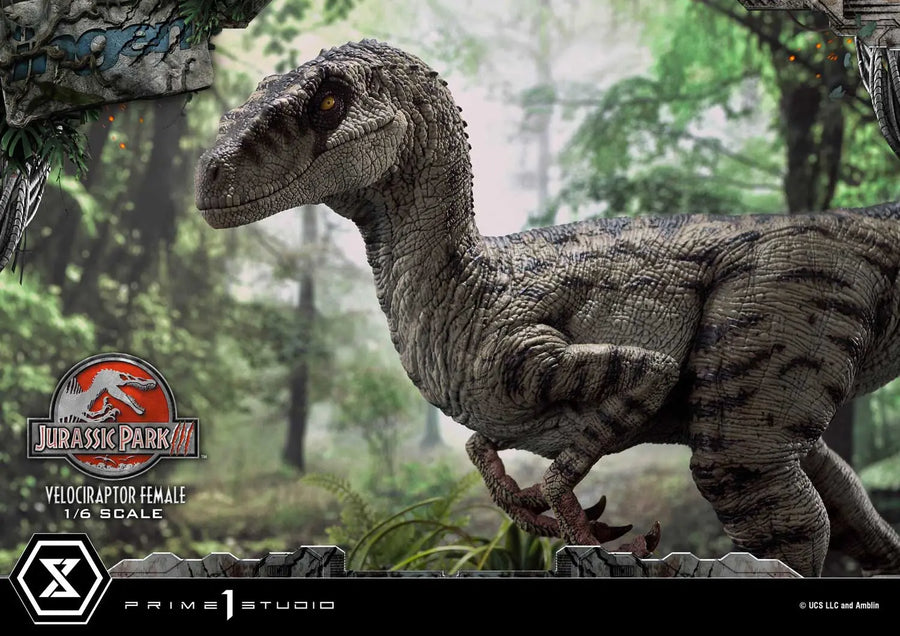 Velociraptor Female (Bonus Version) Jurassic Park III (Film) – Prime1Studio – ActionFigure Brasil