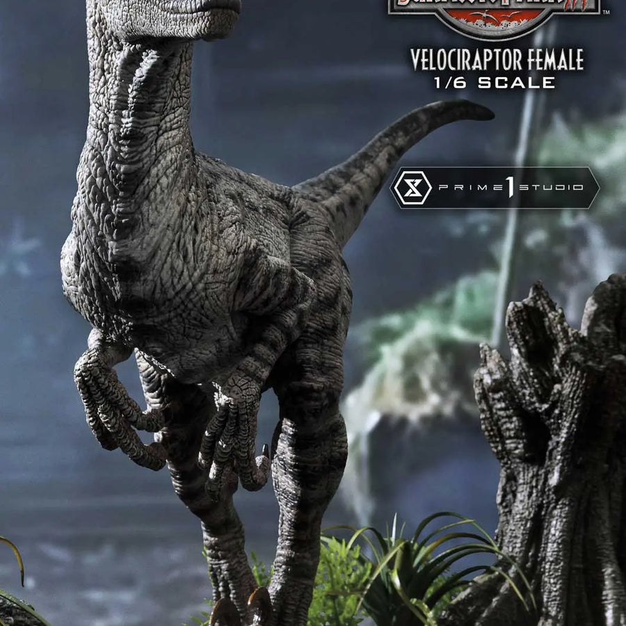 Velociraptor Female (Regular Version) Jurassic Park III (Film) – Prime1Studio – ActionFigure Brasil