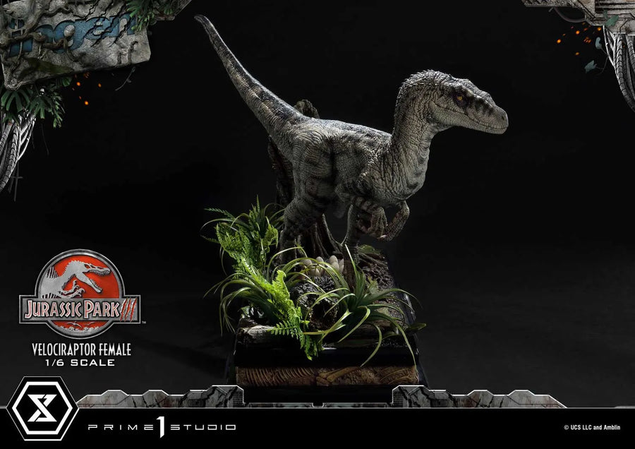 Velociraptor Female (Regular Version) Jurassic Park III (Film) – Prime1Studio – ActionFigure Brasil