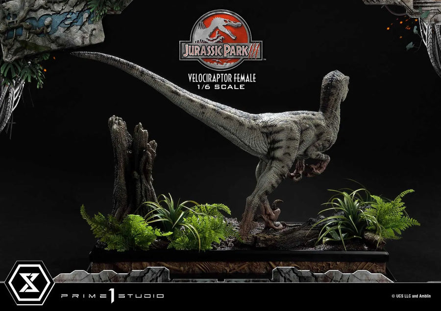 Velociraptor Female (Regular Version) Jurassic Park III (Film) – Prime1Studio – ActionFigure Brasil