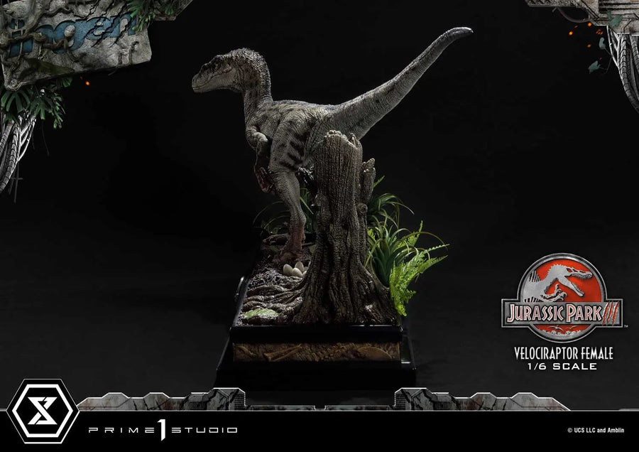 Velociraptor Female (Regular Version) Jurassic Park III (Film) – Prime1Studio – ActionFigure Brasil