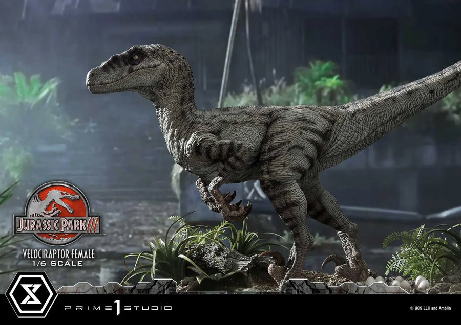 Velociraptor Female (Regular Version) Jurassic Park III (Film) – Prime1Studio – ActionFigure Brasil