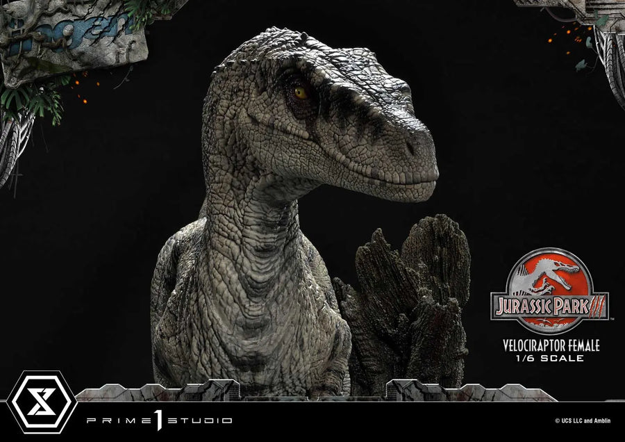 Velociraptor Female (Regular Version) Jurassic Park III (Film) – Prime1Studio – ActionFigure Brasil