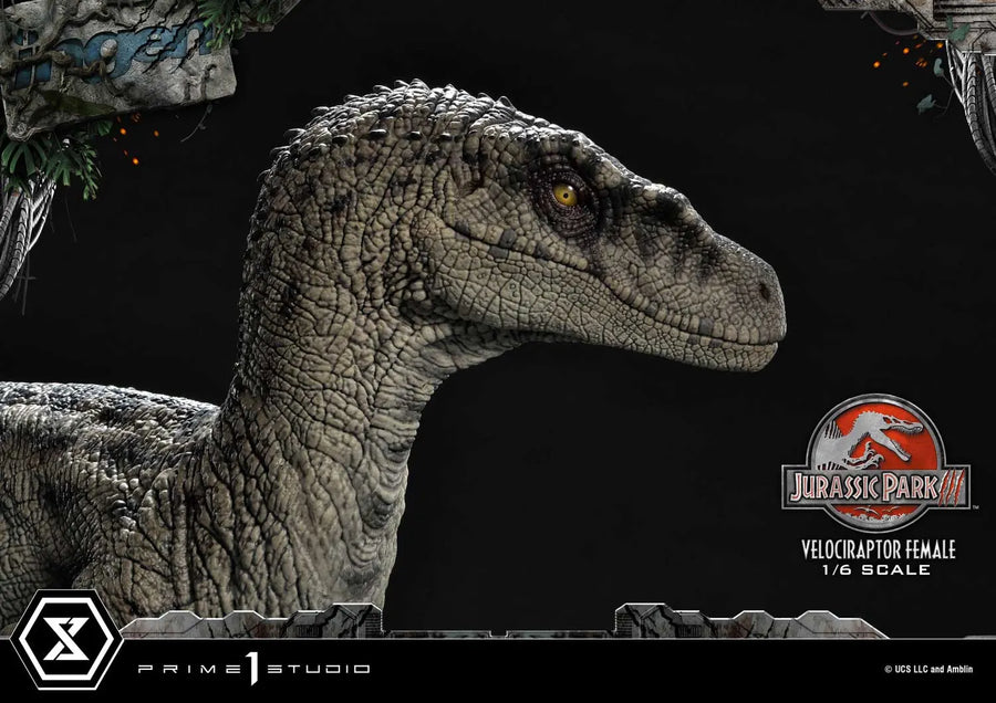 Velociraptor Female (Regular Version) Jurassic Park III (Film) – Prime1Studio – ActionFigure Brasil