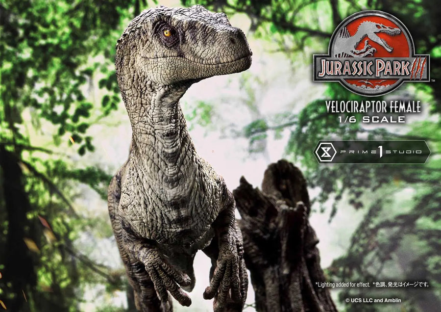 Velociraptor Female (Regular Version) Jurassic Park III (Film) – Prime1Studio – ActionFigure Brasil