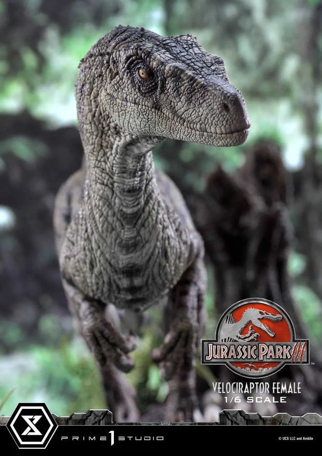 Velociraptor Female (Regular Version) Jurassic Park III (Film) – Prime1Studio – ActionFigure Brasil