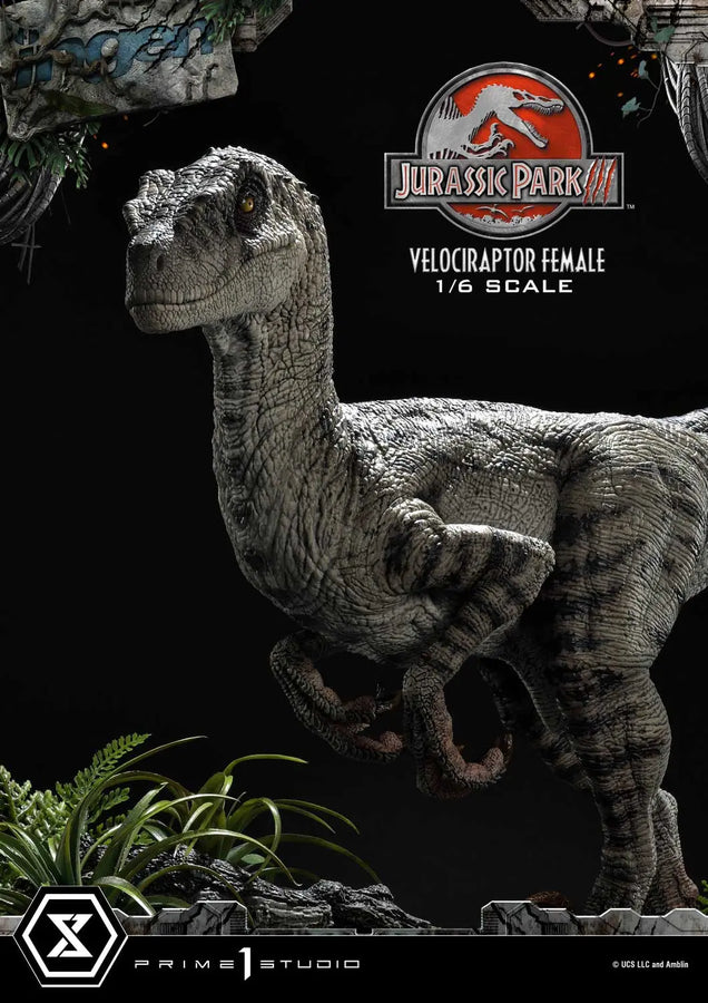 Velociraptor Female (Regular Version) Jurassic Park III (Film) – Prime1Studio – ActionFigure Brasil