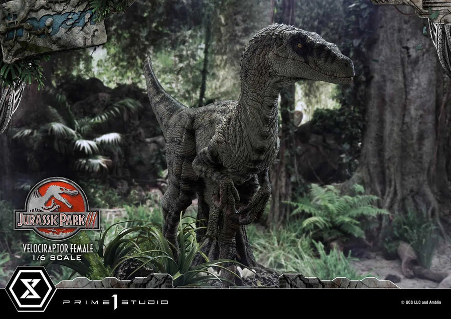 Velociraptor Female (Regular Version) Jurassic Park III (Film) – Prime1Studio – ActionFigure Brasil