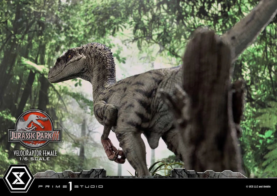 Velociraptor Female (Regular Version) Jurassic Park III (Film) – Prime1Studio – ActionFigure Brasil
