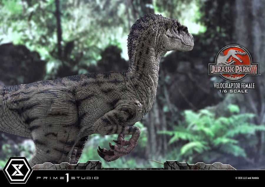 Velociraptor Female (Regular Version) Jurassic Park III (Film) – Prime1Studio – ActionFigure Brasil