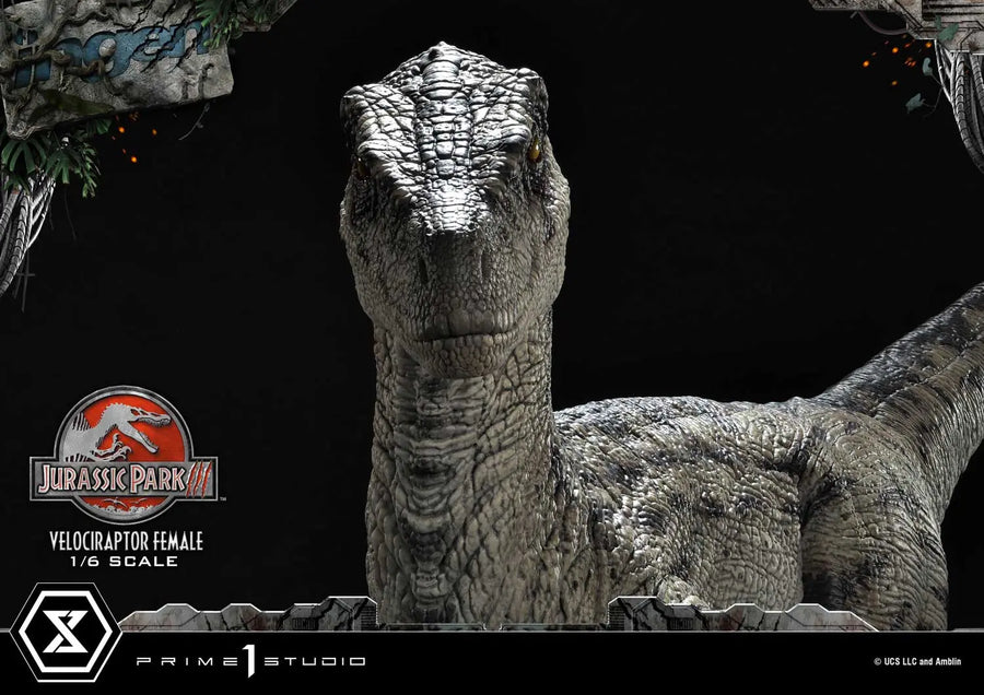 Velociraptor Female (Regular Version) Jurassic Park III (Film) – Prime1Studio – ActionFigure Brasil