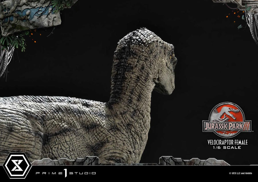 Velociraptor Female (Regular Version) Jurassic Park III (Film) – Prime1Studio – ActionFigure Brasil