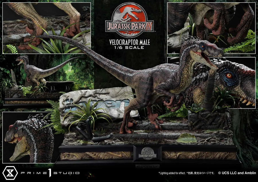 Velociraptor Male (Bonus Version) Jurassic Park III (Film) – Prime1Studio – ActionFigure Brasil
