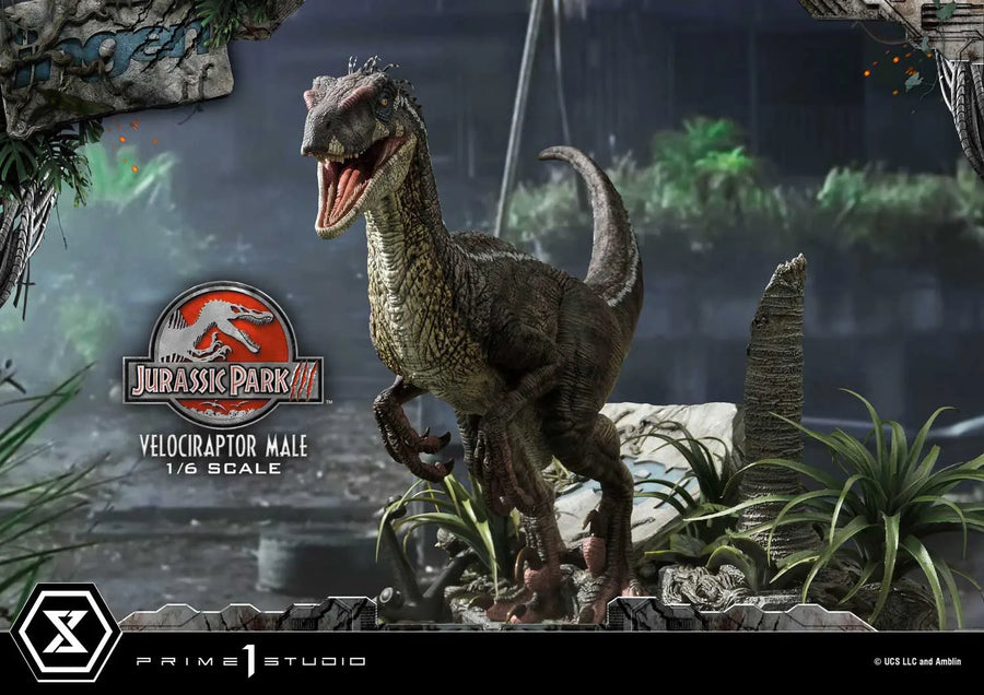 Velociraptor Male (Bonus Version) Jurassic Park III (Film) – Prime1Studio – ActionFigure Brasil
