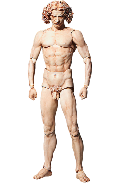 Vitruvian Man Figma – FREEing – ActionFigure Brasil