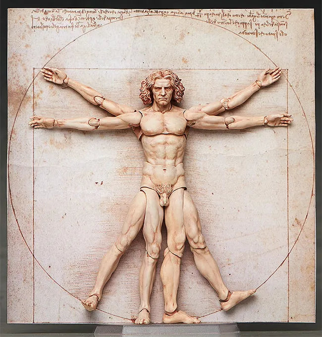 Vitruvian Man Figma – FREEing – ActionFigure Brasil