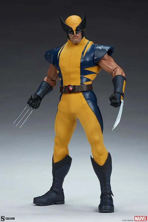 Wolverine (Astonishing Version) - LIMITED EDITION (Astonishing Version) – Sideshow Collectibles – ActionFigure Brasil