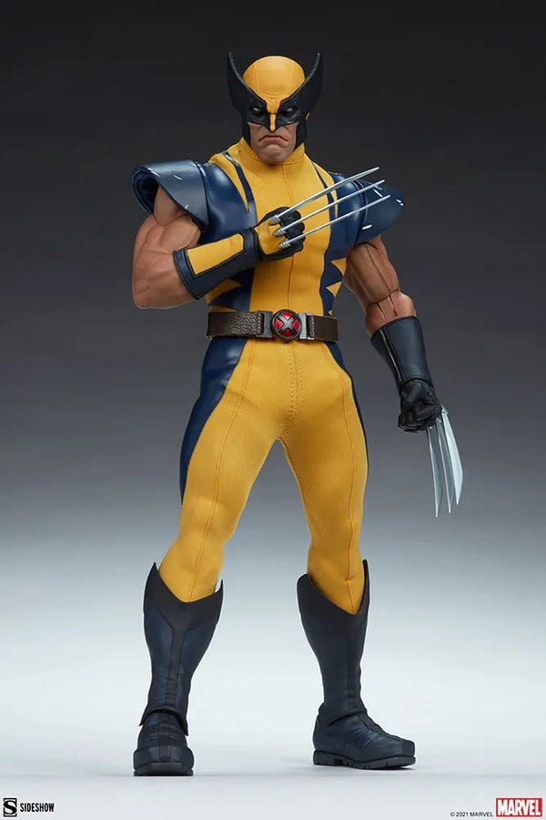 Wolverine (Astonishing Version) - LIMITED EDITION (Astonishing Version) – Sideshow Collectibles – ActionFigure Brasil