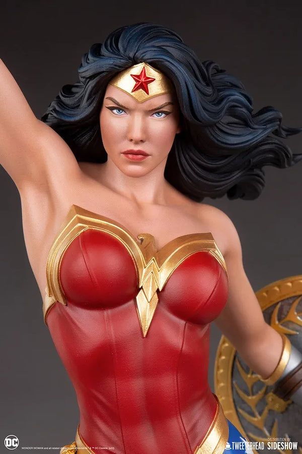 Wonder Woman - LIMITED EDITION: 450 (Collector Sixth Scale) – Tweeterhead – ActionFigure Brasil — acessórios