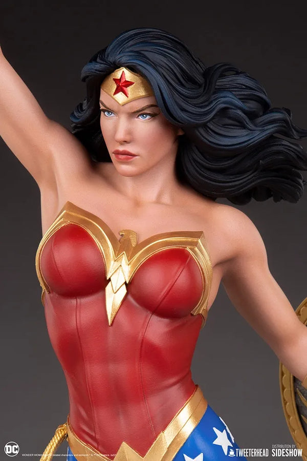 Wonder Woman - LIMITED EDITION: 450 (Collector Sixth Scale) – Tweeterhead – ActionFigure Brasil — acessórios