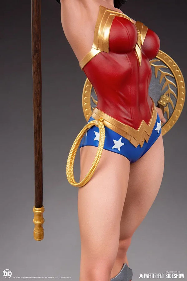 Wonder Woman - LIMITED EDITION: 450 (Collector Sixth Scale) – Tweeterhead – ActionFigure Brasil — acessórios