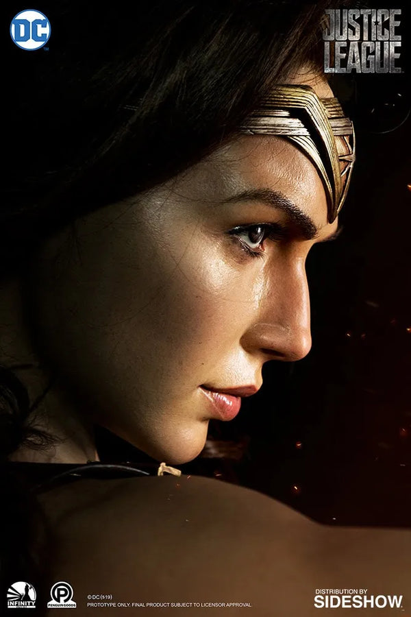 Wonder Woman - LIMITED EDITION: 580 – Infinity Studio X Penguin Toys – ActionFigure Brasil