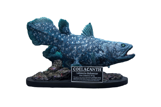Wonders Of The Wild - Coelacanth - Polyresin Statue (Star Ace Toys)ㅤ – Star Ace Toys – ActionFigureBrasil