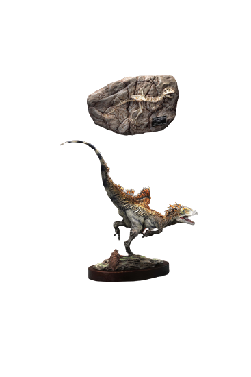 Wonders of the Wild Series - Concavenator - Deluxe Edition - Fossil Replica & Statue (Star Ace Toys)ㅤ – Star Ace Toys – ActionFigureBrasil