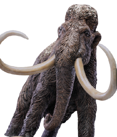 Wonders of the Wild Series - Woolly Mammoth (Star Ace Toys)ㅤ – Star Ace Toys – ActionFigureBrasil